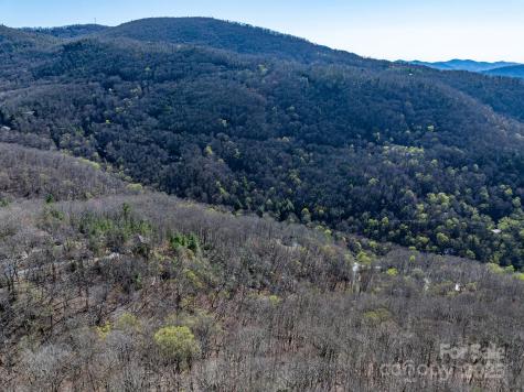 99999 Chestnut Forest Road Fairview NC 28730