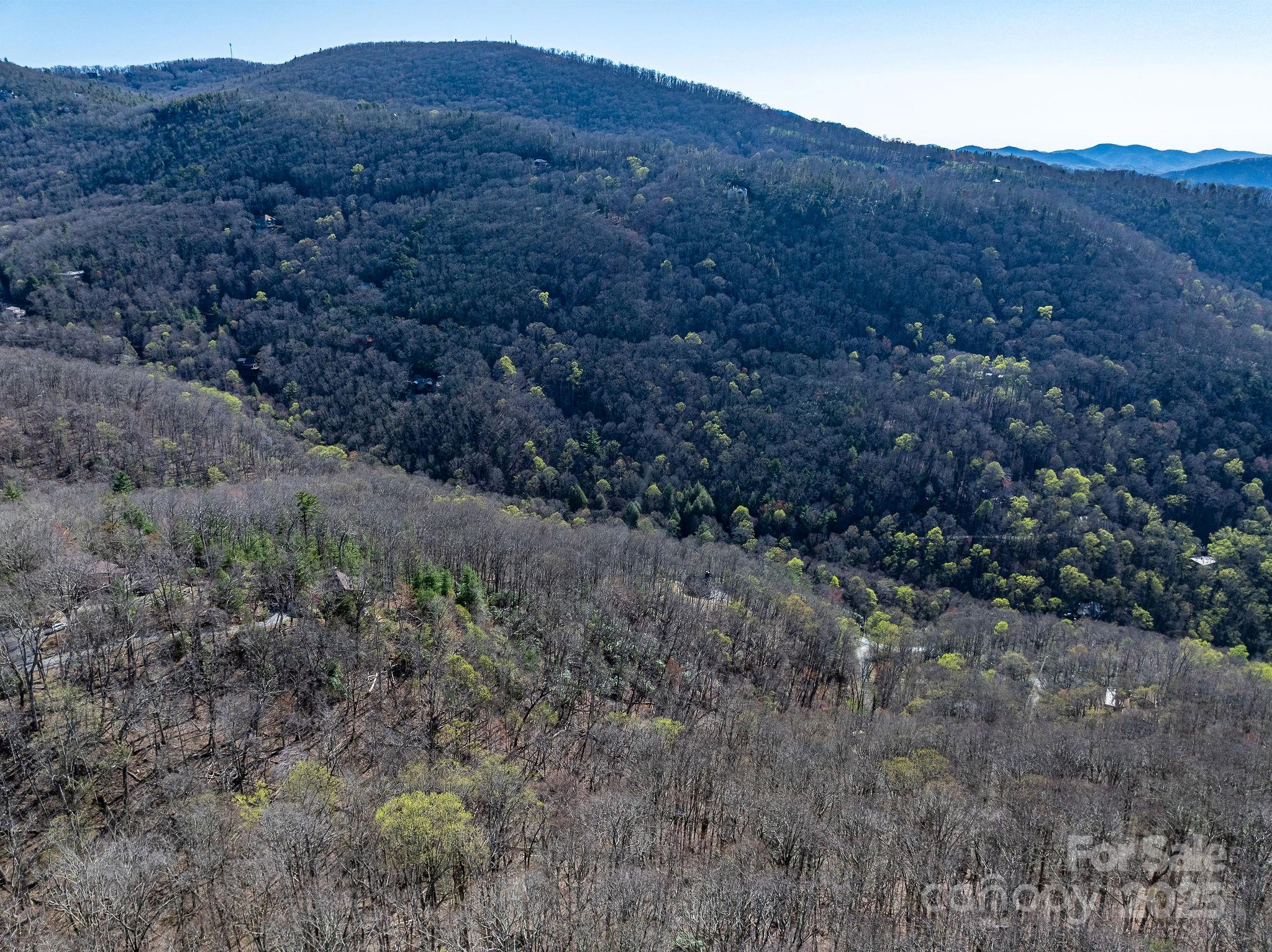99999 Chestnut Forest Road Fairview NC 28730