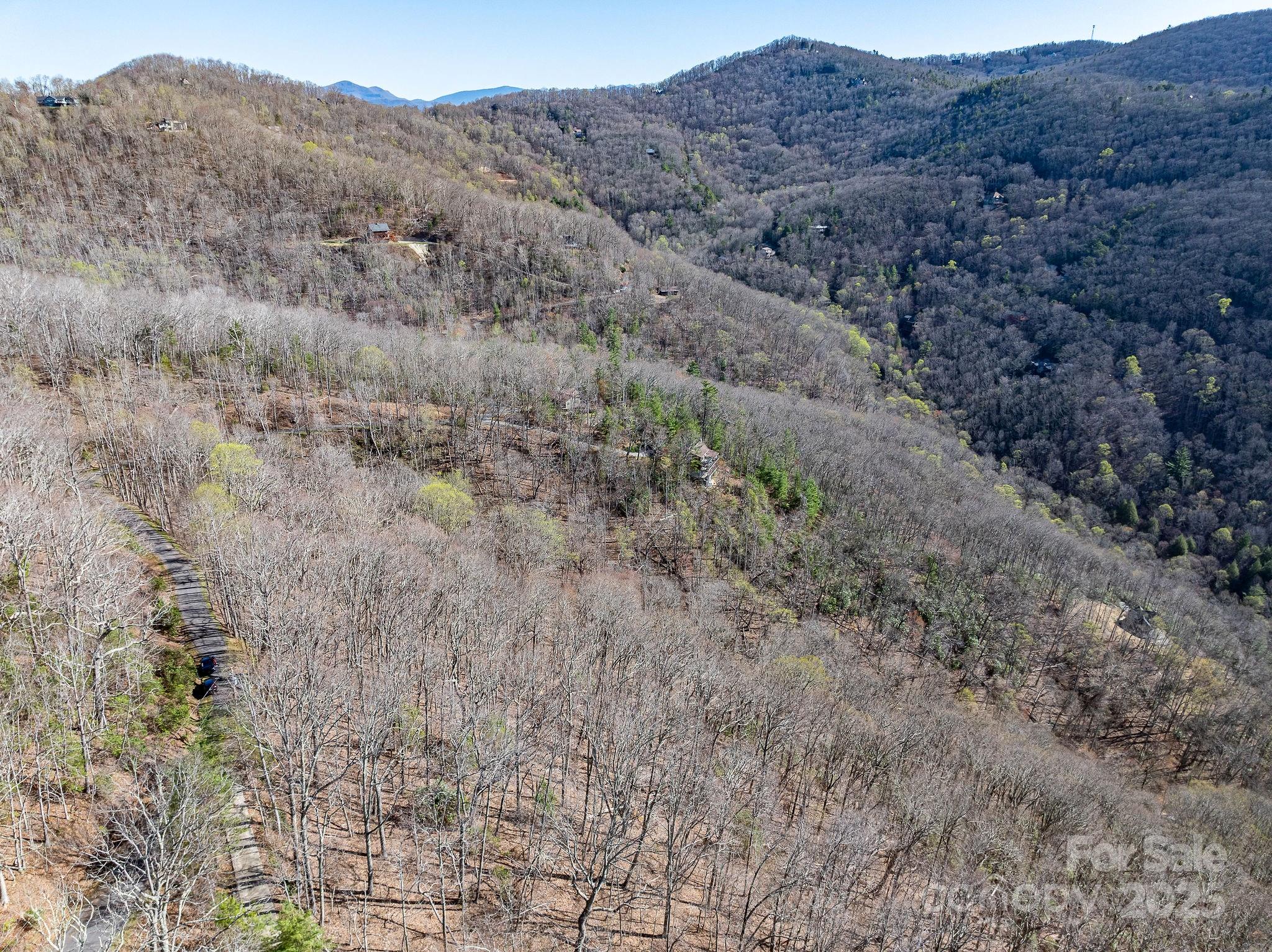 99999 Chestnut Forest Road Fairview NC 28730