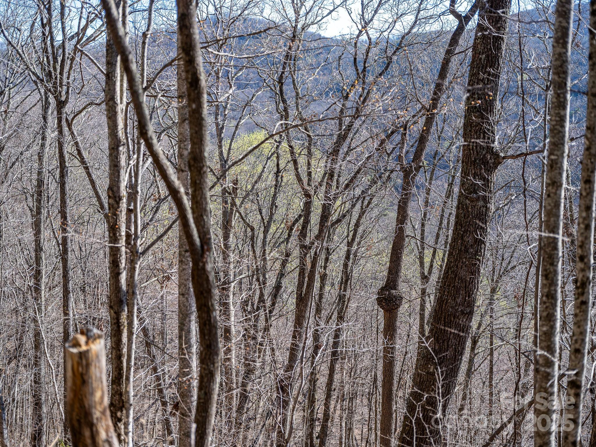 99999 Chestnut Forest Road Fairview NC 28730