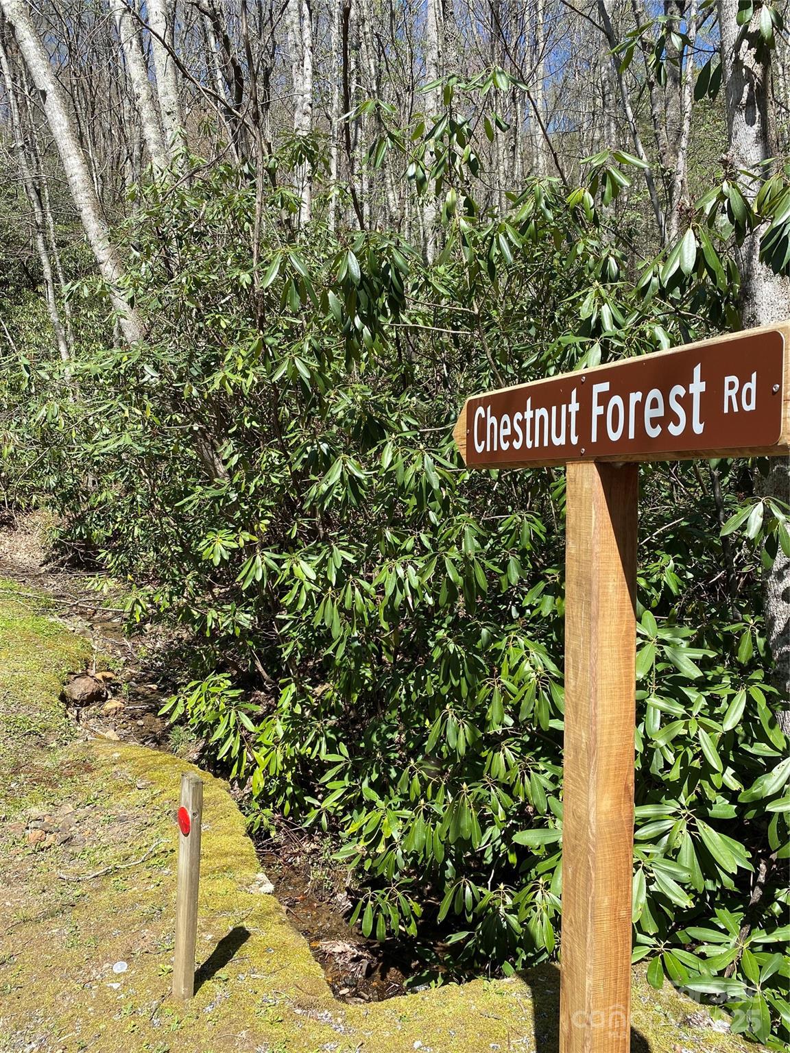 99999 Chestnut Forest Road Fairview NC 28730