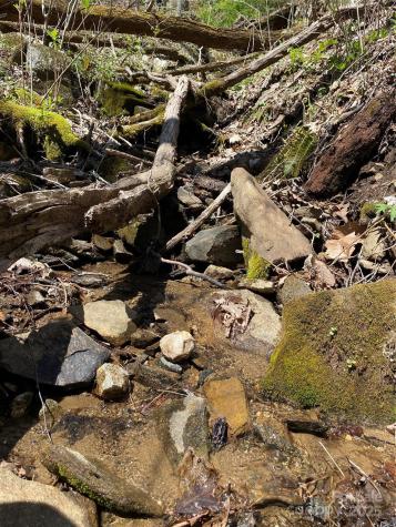 99999 Chestnut Forest Road Fairview NC 28730