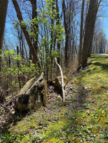 99999 Chestnut Forest Road Fairview NC 28730