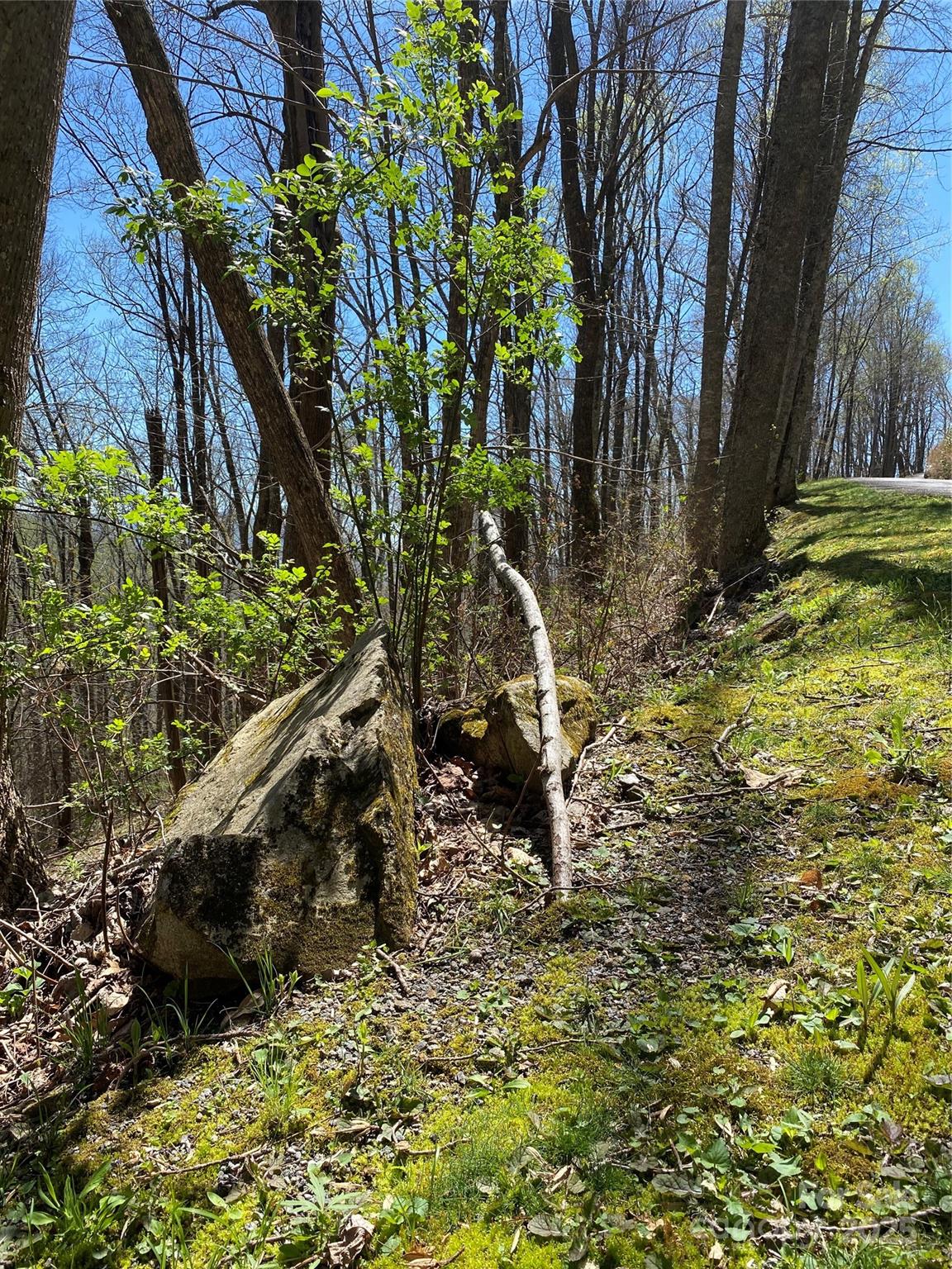 99999 Chestnut Forest Road Fairview NC 28730