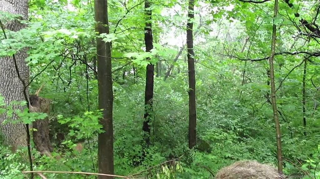 9 Oak Mountain Drive Leicester NC 28748