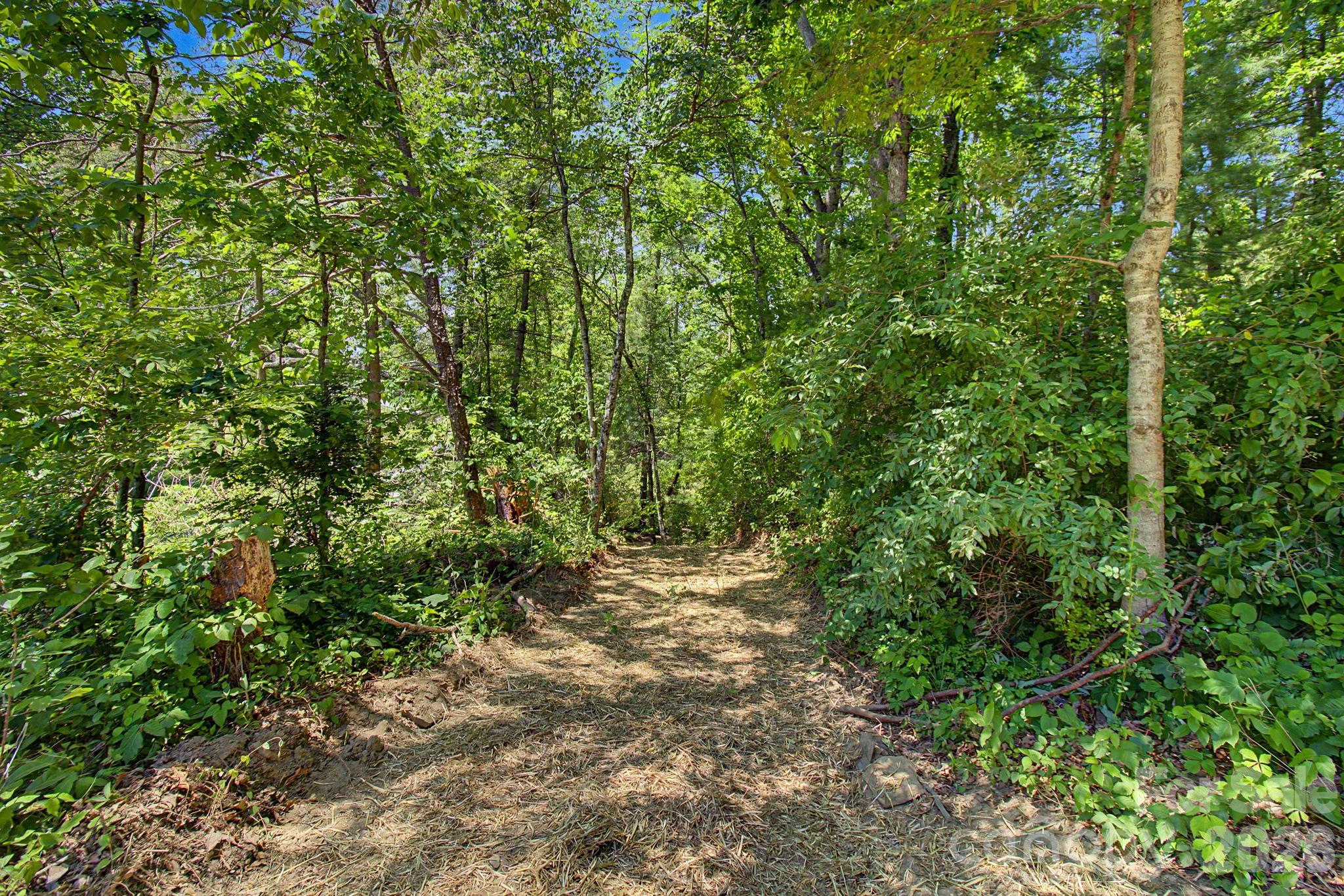 1355 Brookside Camp Road Hendersonville NC 28792