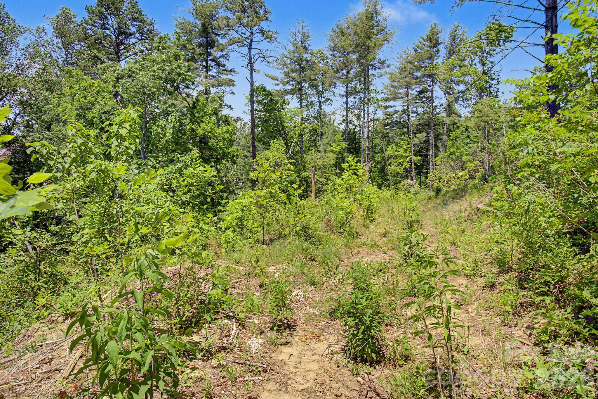 1355 Brookside Camp Road Hendersonville NC 28792