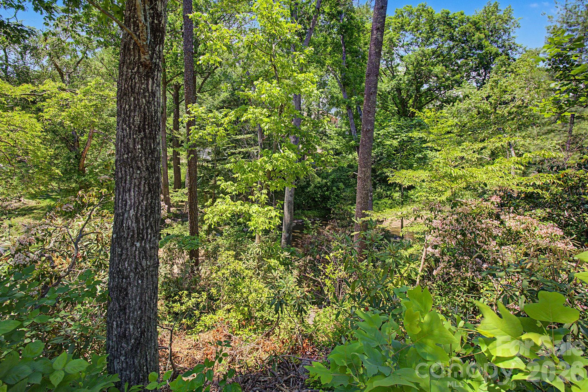 1355 Brookside Camp Road Hendersonville NC 28792