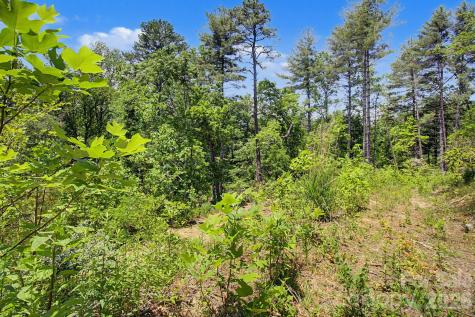 1355 Brookside Camp Road Hendersonville NC 28792