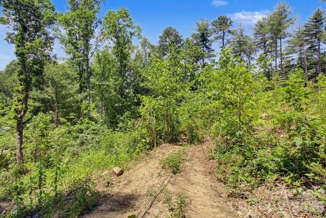 1355 Brookside Camp Road Hendersonville NC 28792