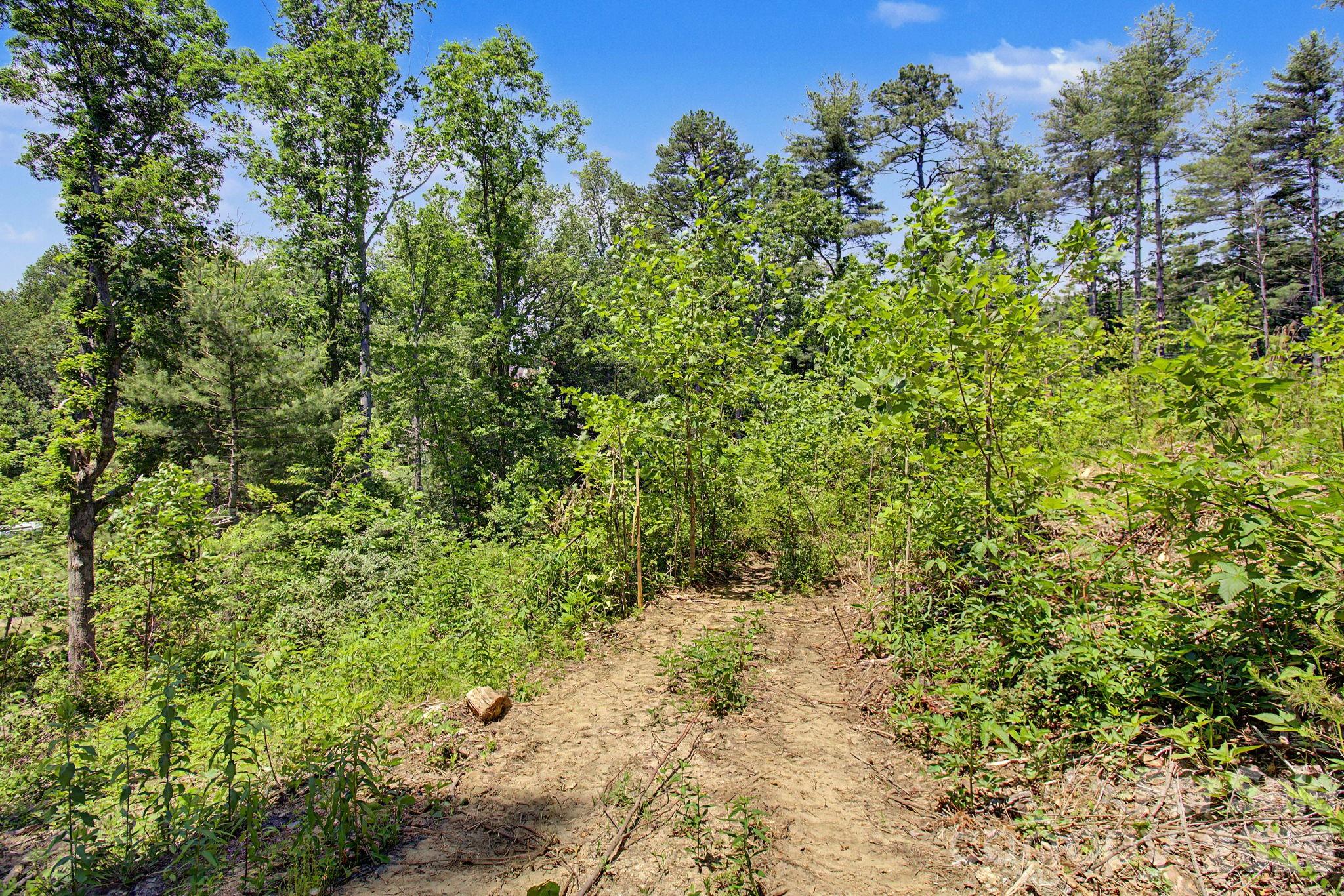 1355 Brookside Camp Road Hendersonville NC 28792