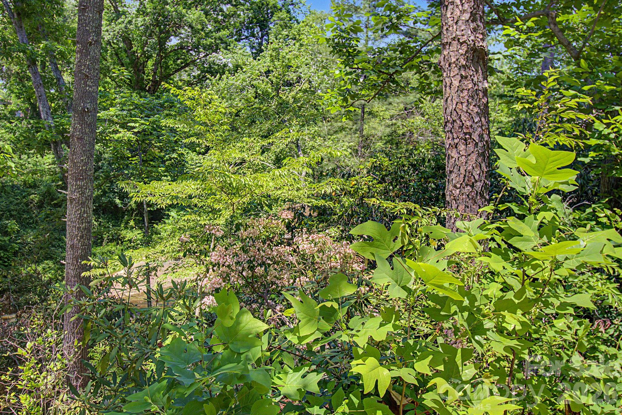 1355 Brookside Camp Road Hendersonville NC 28792