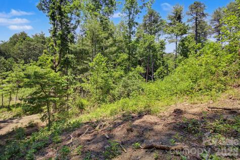 1355 Brookside Camp Road Hendersonville NC 28792