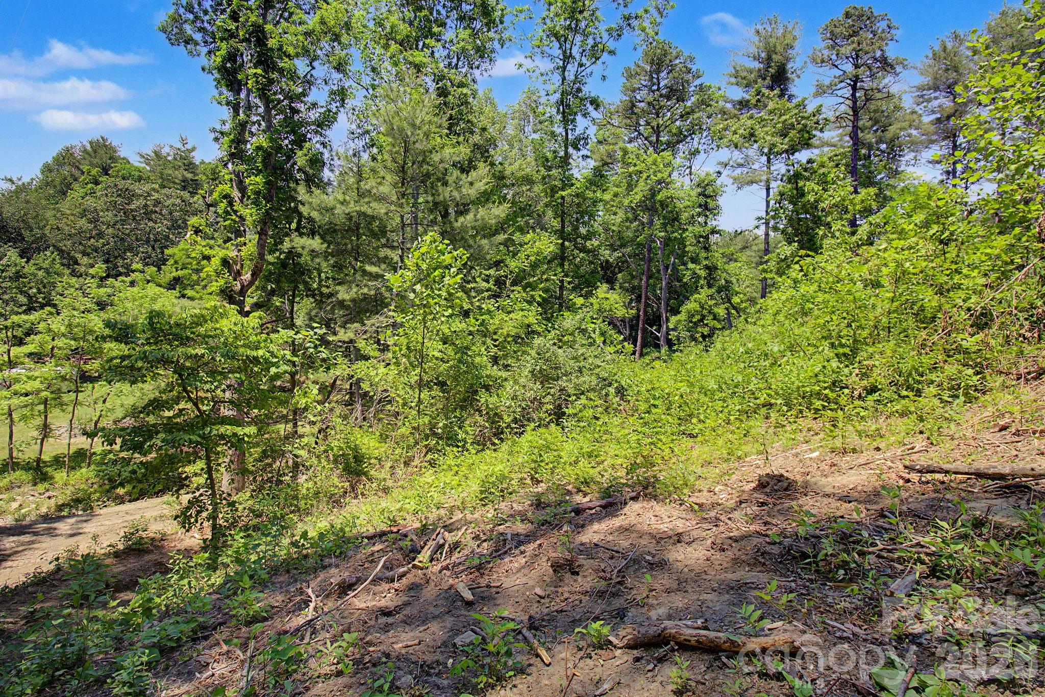 1355 Brookside Camp Road Hendersonville NC 28792