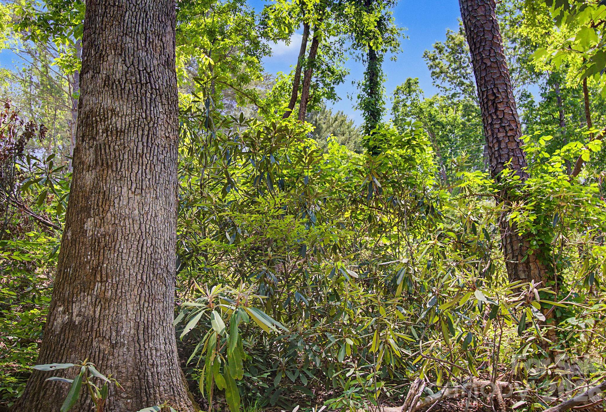 1355 Brookside Camp Road Hendersonville NC 28792