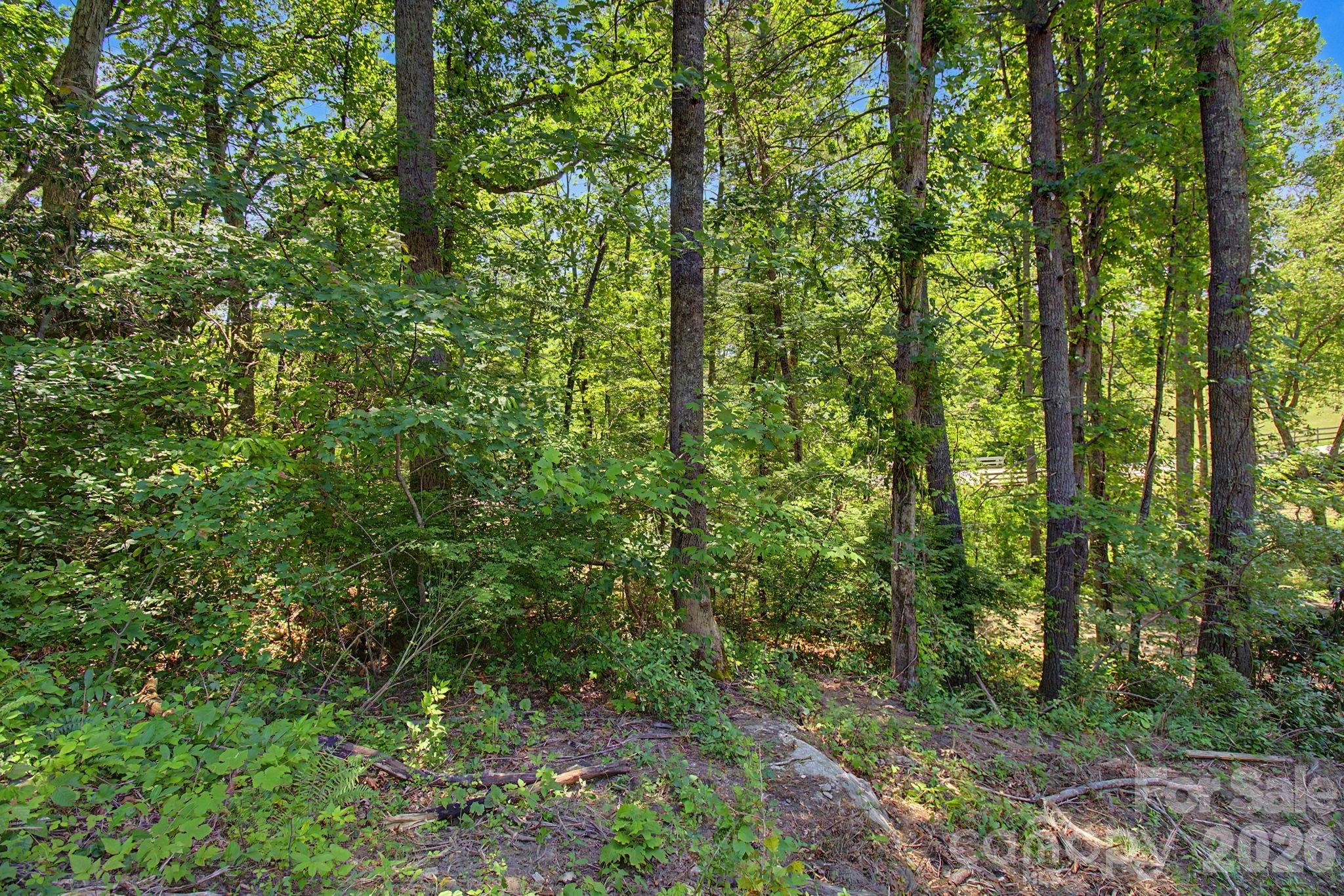 1355 Brookside Camp Road Hendersonville NC 28792