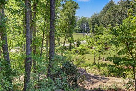 1355 Brookside Camp Road Hendersonville NC 28792