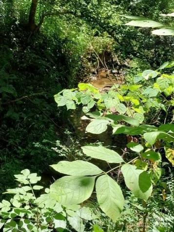 105/113 Edgewater Point NW Valdese NC 28690