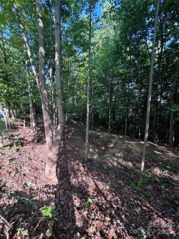 0 Holland Drive Columbus NC 28722