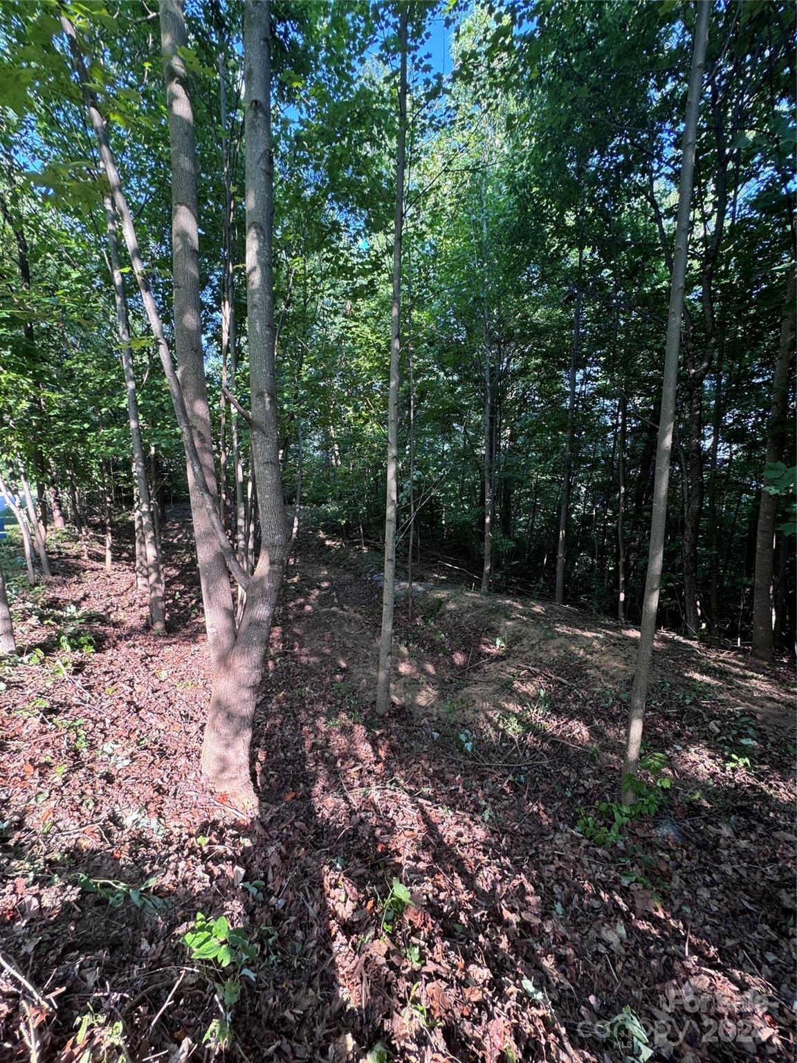 0 Holland Drive Columbus NC 28722