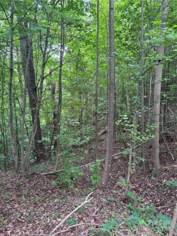 0 Holland Drive Columbus NC 28722