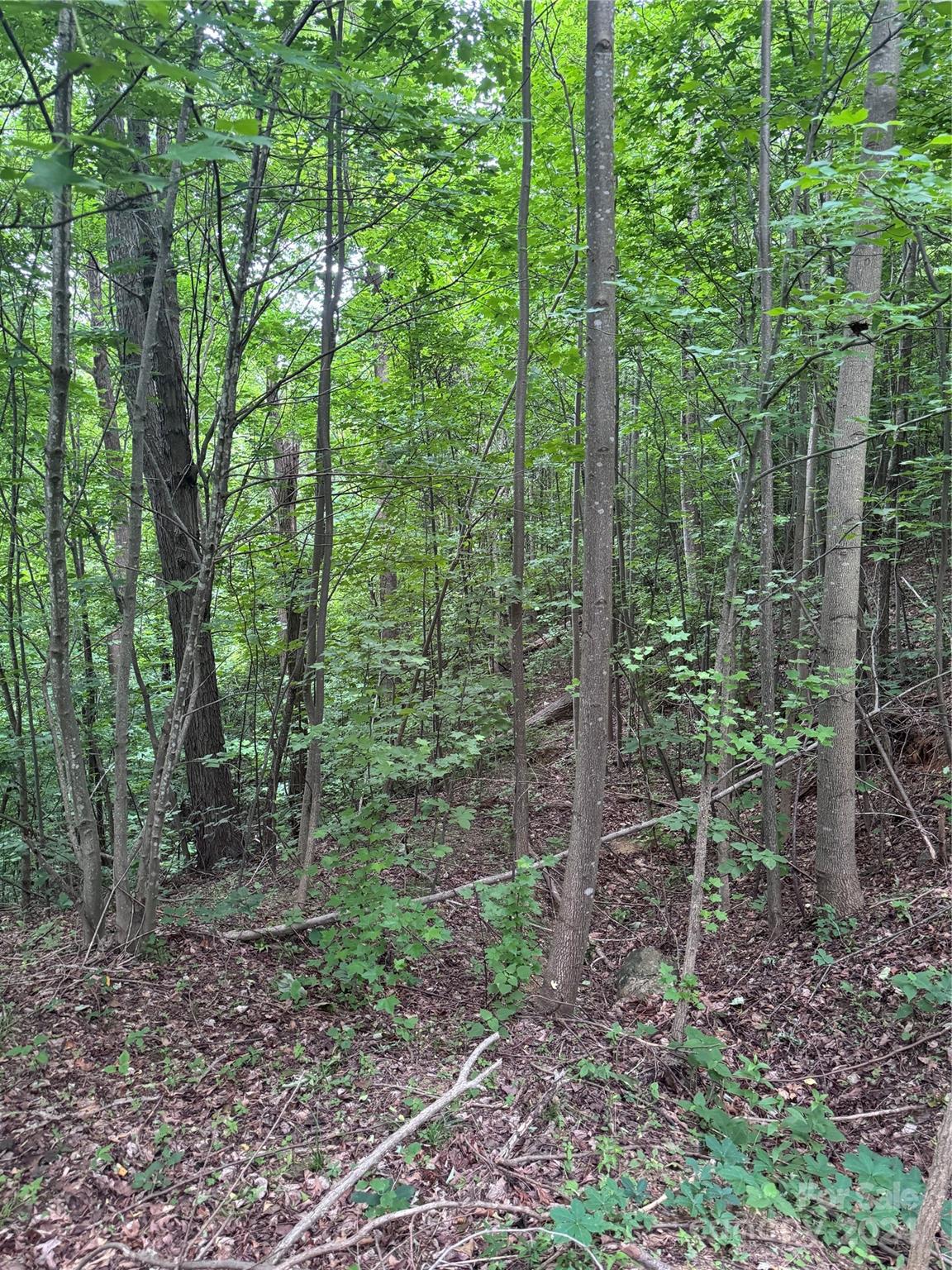 0 Holland Drive Columbus NC 28722