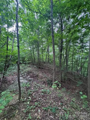 0 Holland Drive Columbus NC 28722