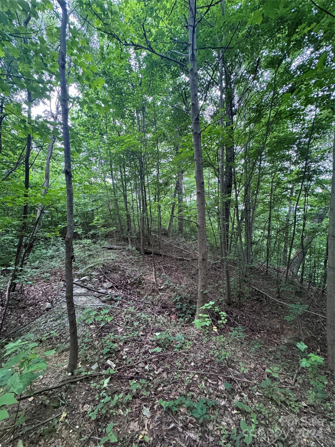 0 Holland Drive Columbus NC 28722