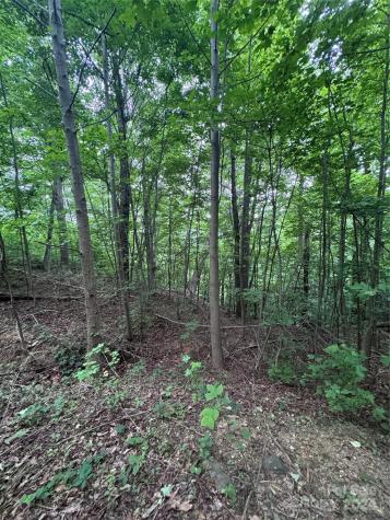 0 Holland Drive Columbus NC 28722