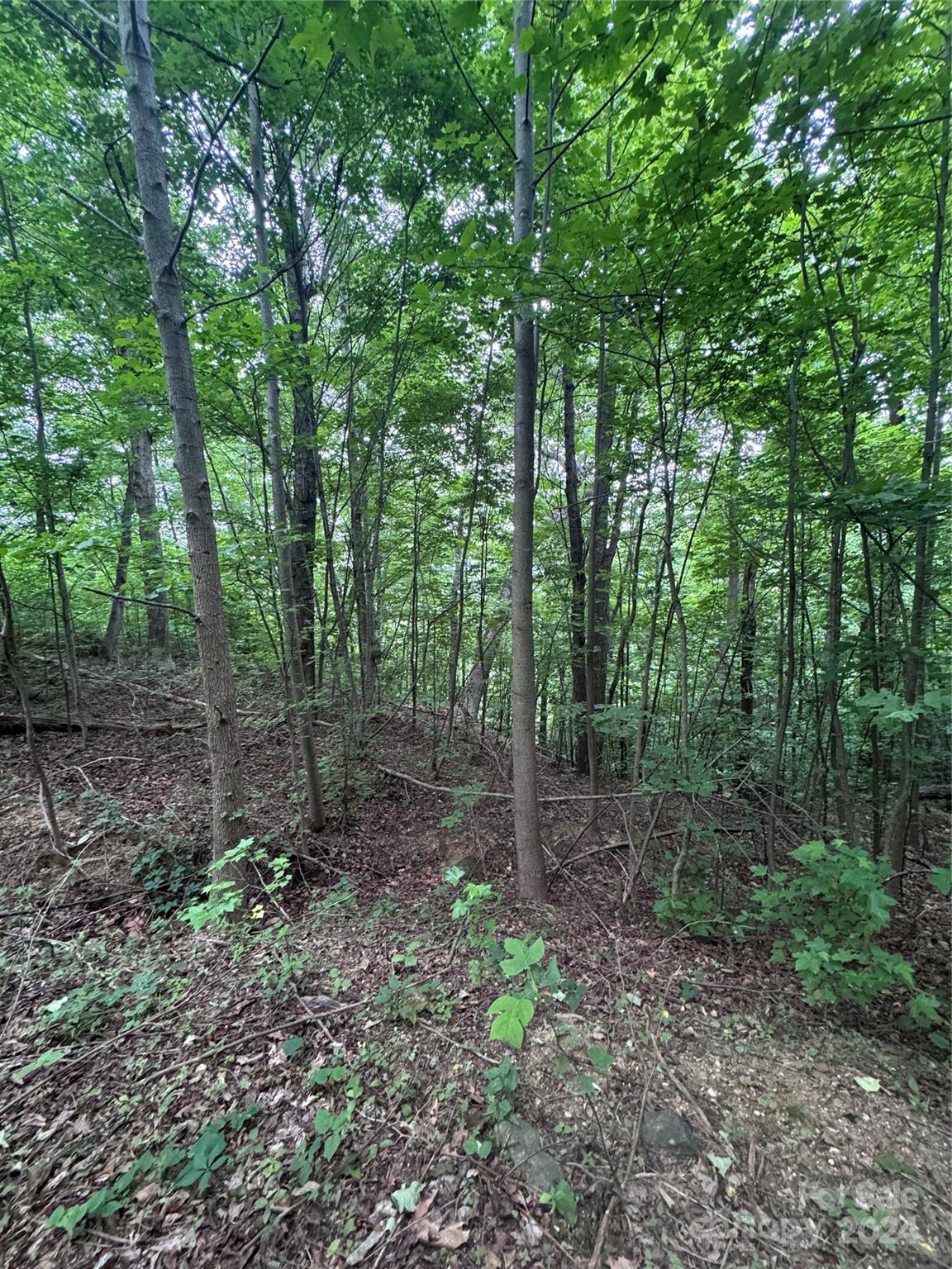 0 Holland Drive Columbus NC 28722
