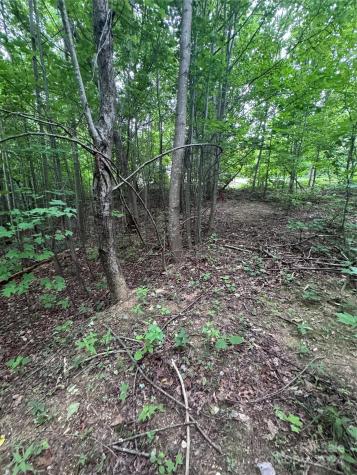 0 Holland Drive Columbus NC 28722
