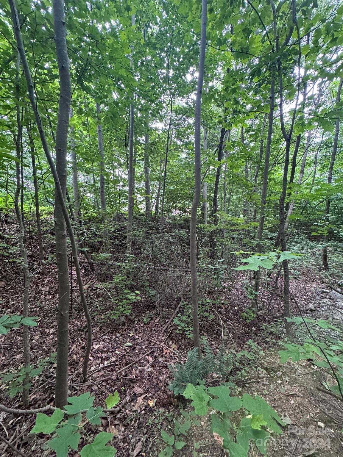 0 Holland Drive Columbus NC 28722