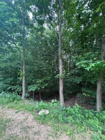 0 Holland Drive Columbus NC 28722