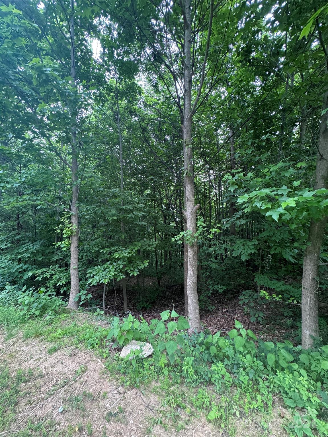 0 Holland Drive Columbus NC 28722