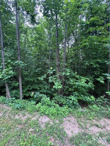 0 Holland Drive Columbus NC 28722