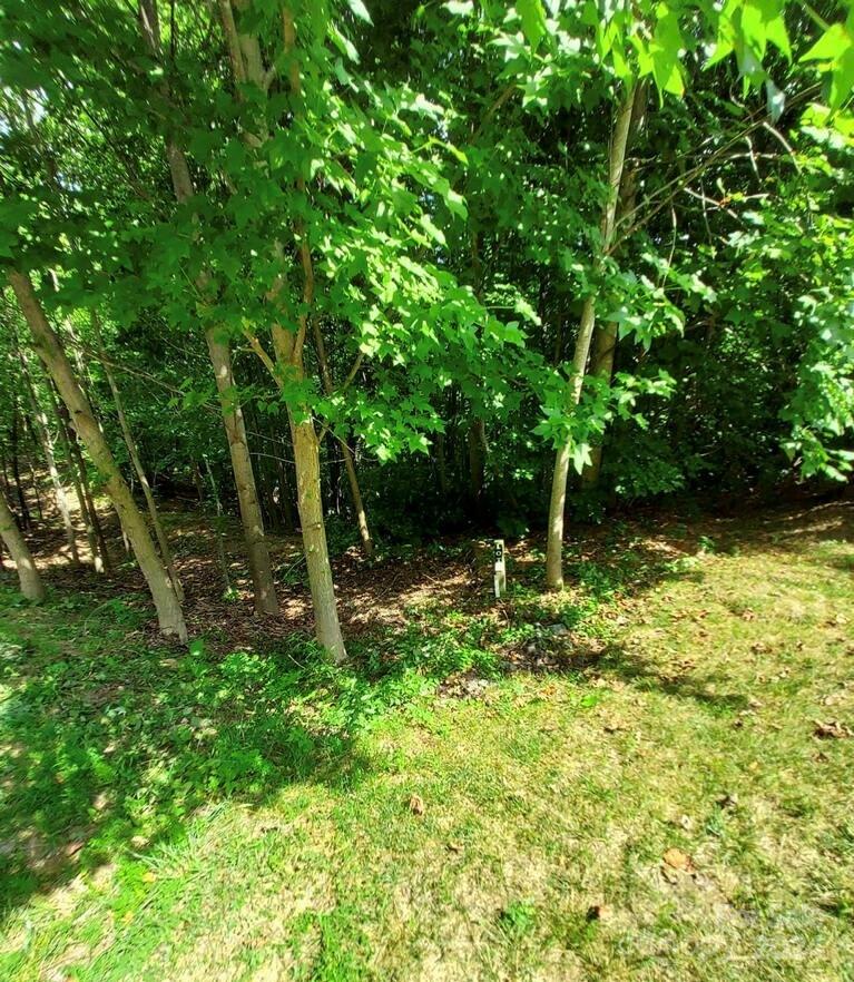 0 Holland Drive Columbus NC 28722