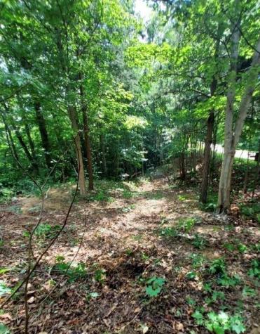 0 Holland Drive Columbus NC 28722