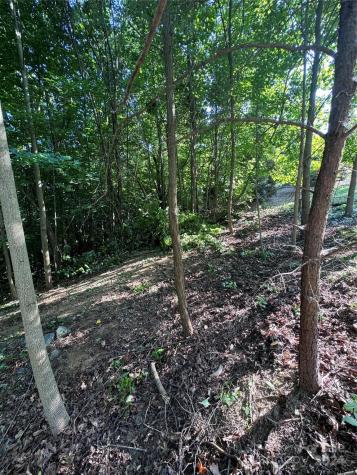 0 Holland Drive Columbus NC 28722