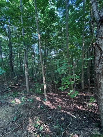 0 Holland Drive Columbus NC 28722