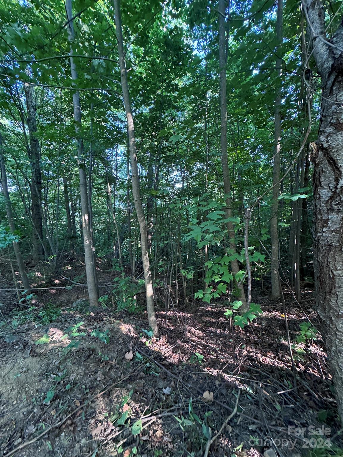0 Holland Drive Columbus NC 28722