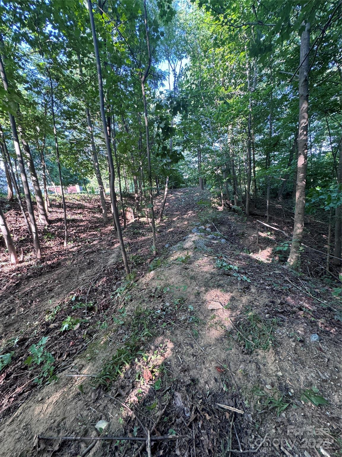 0 Holland Drive Columbus NC 28722