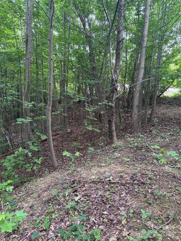 0 Holland Drive Columbus NC 28722