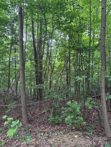0 Holland Drive Columbus NC 28722