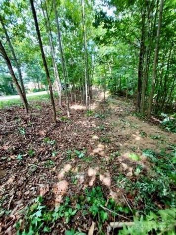 0 Holland Drive Columbus NC 28722