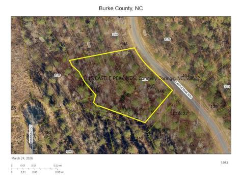 2115 Castle Peak Mountain Connelly Springs NC 28612
