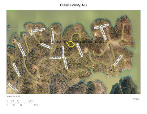 2115 Castle Peak Mountain Connelly Springs NC 28612