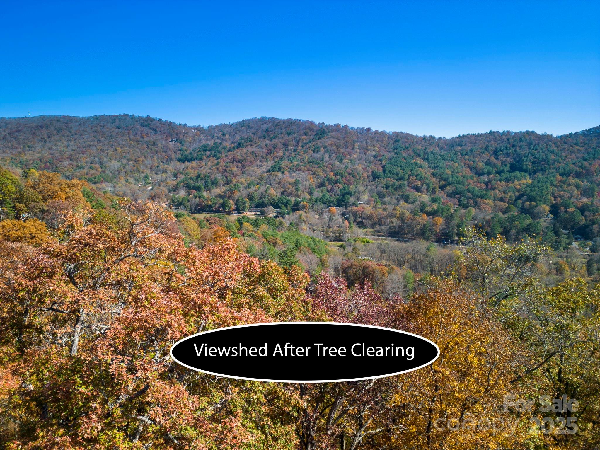 000 Vance Gap Road Asheville NC 28804