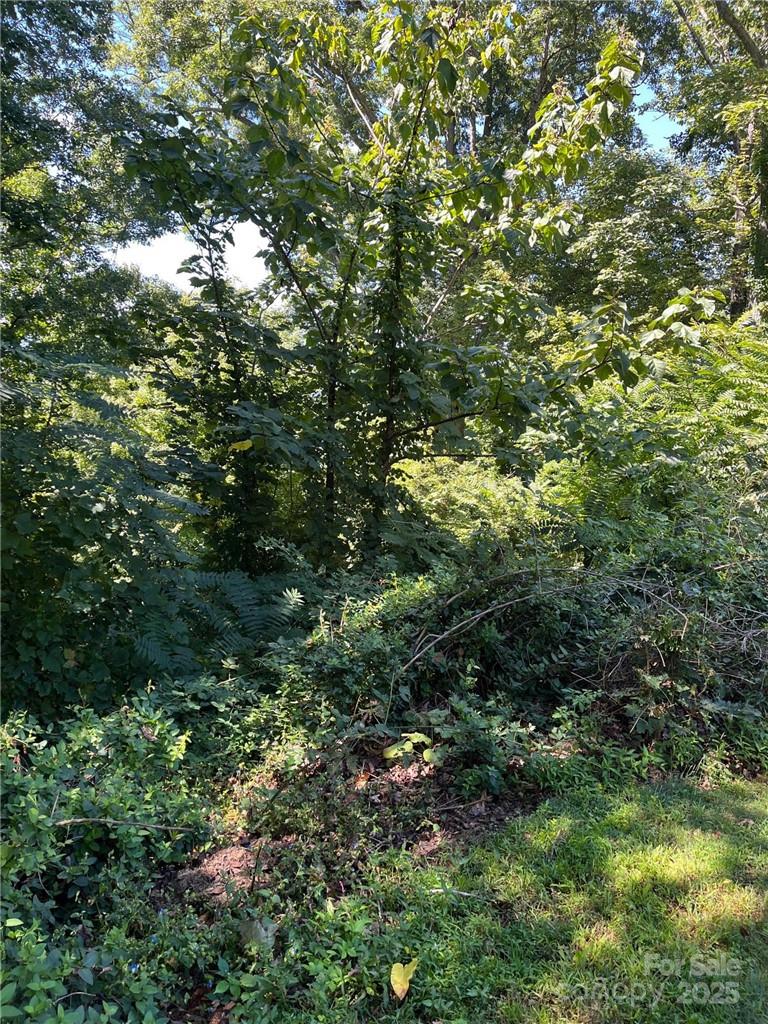 000 Vance Gap Road Asheville NC 28804
