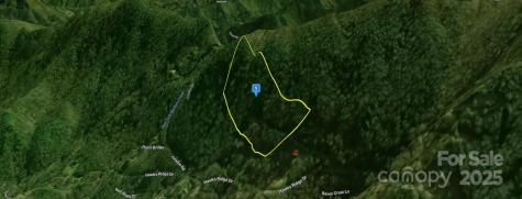 4 Falcons Peak Lane Whittier NC 28789