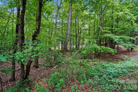 1116 Billy Howey Road Waxhaw NC 28173
